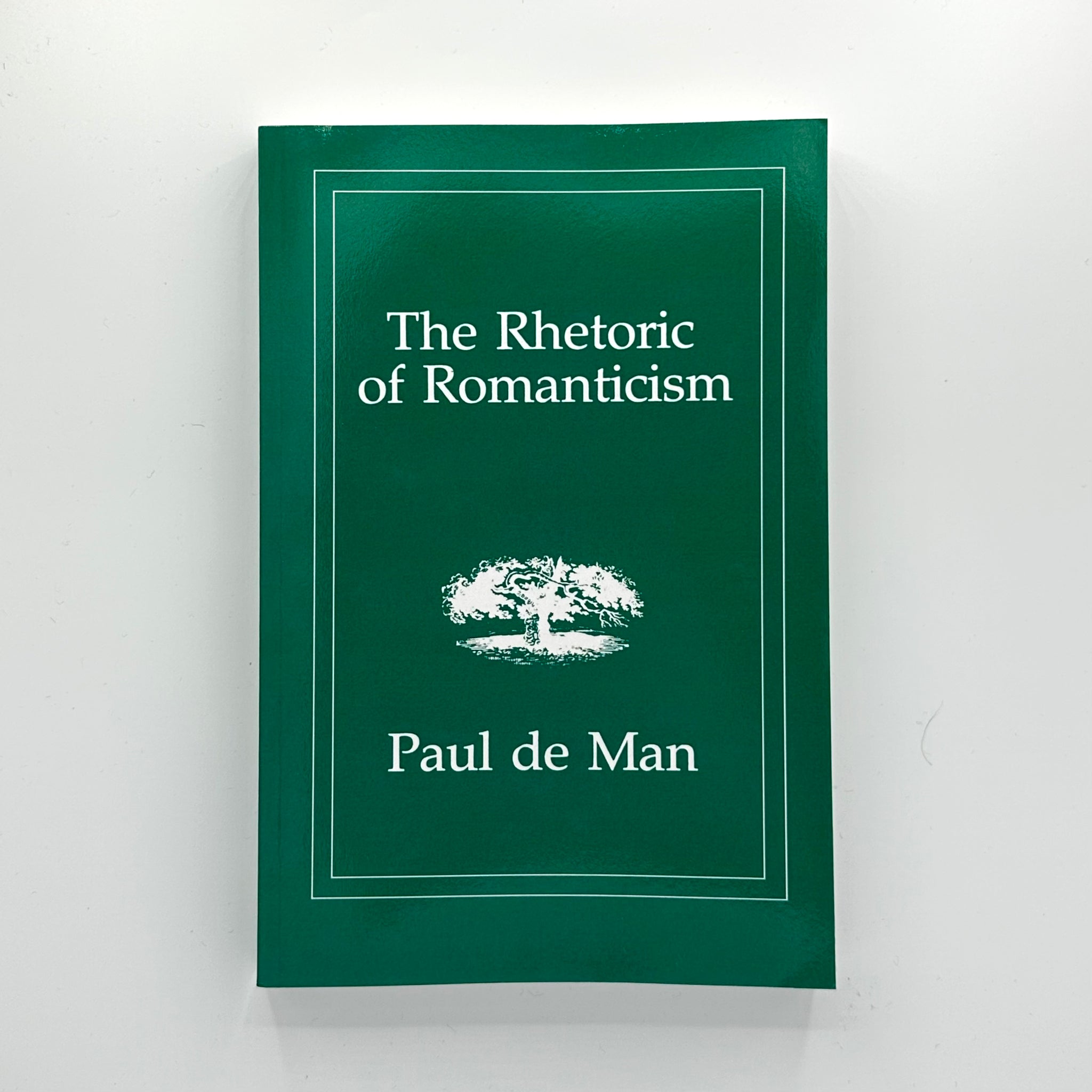 Paul de Man—The Rhetoric of Romanticism